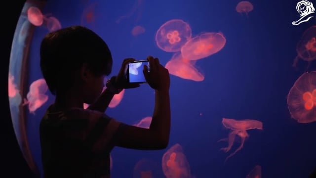 余った通話分が、障害者500人分の1年間になった / StarHub「4G4GOOD」 メインシーン
