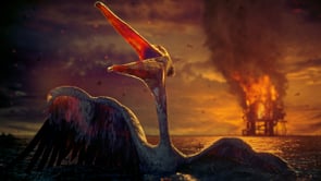 絶滅危惧種に歌わせた、泣けないはずの絶望ソング / WCFF「Dream」 メインシーン