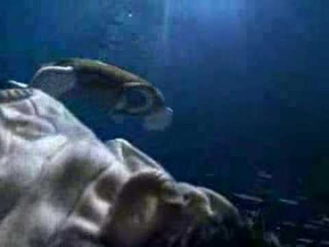 洗濯機の中に、海は棲んでいた / ARISTON「UNDERWATER WORLD」 メインシーン