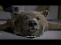 クマの皮が、映画監督になった / CANAL+「THE BEAR」 シーン 4