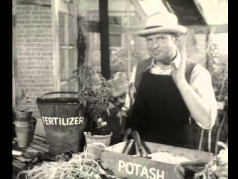 園芸番組のふりして、トマトジュースを売る / Schweppes「Gardening Advice」 メインシーン