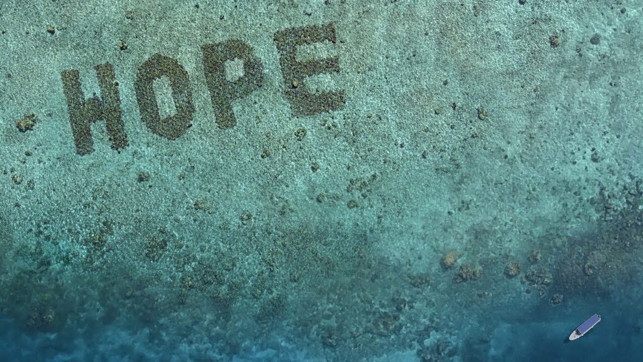 宇宙から見える「HOPE」という文字 / MARS「HOPE REEF」 メインシーン