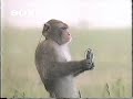 こんな名作にも「EXアモルファスヘッド」って言わなきゃいけないのか / ソニー「新世代ウォークマン」 シーン 2