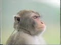 こんな名作にも「EXアモルファスヘッド」って言わなきゃいけないのか / ソニー「新世代ウォークマン」 シーン 3