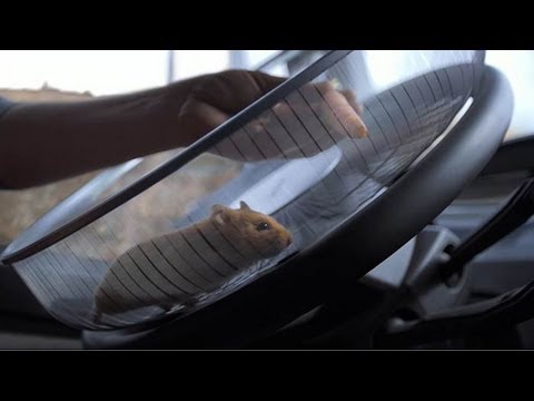 ハムスター（のせいで人間）危機一髪 / Volvo Trucks「The Hamster Stunt」 メインシーン
