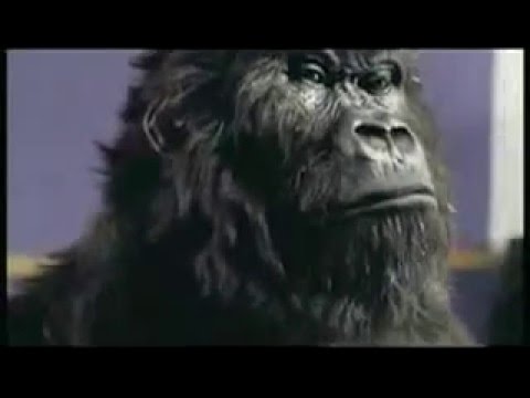 90秒間、チョコレートが一切映らない / CADBURY「GORILLA」 メインシーン