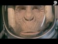 65年ぶりに帰ってきた、宇宙サル / WWF「MONKEY」 シーン 3