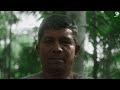 森を伐らずに、森で稼ぐ / Natura「The Amazon Greenventory」 シーン 4