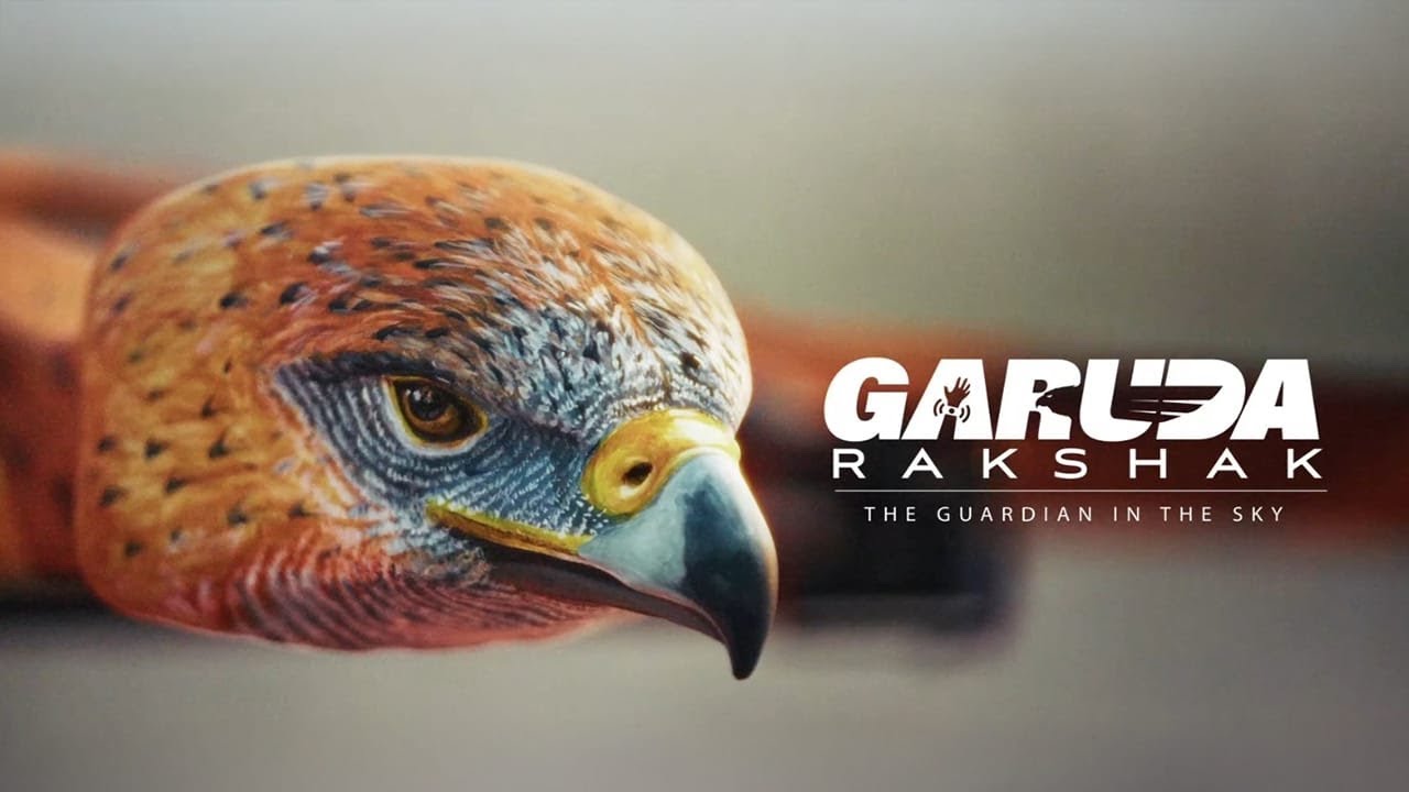 古い技術が、6億6300万人の中から迷子を5分で見つけ出した / DSP Mutual Fund「Garuda Rakshak」 メインシーン
