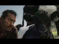 牛が、千のタグラインになった / OREO「OREO COWS」 シーン 2