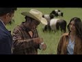 牛が、千のタグラインになった / OREO「OREO COWS」 シーン 4