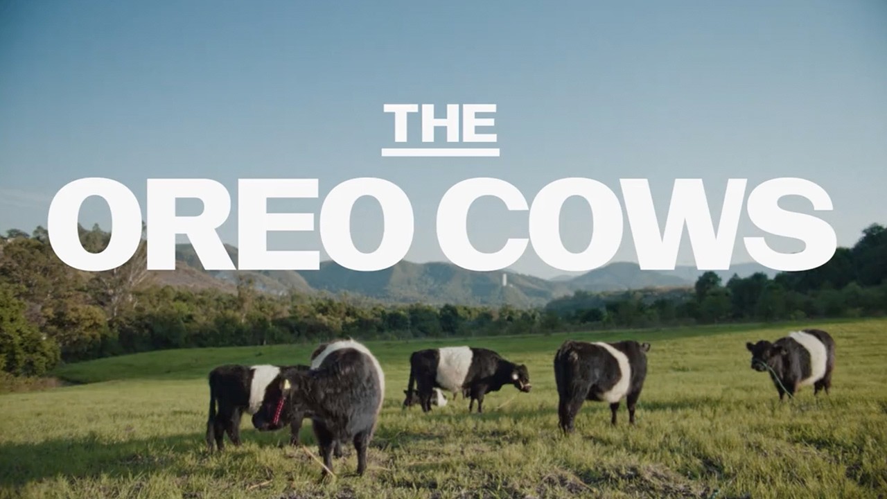 牛が、千のタグラインになった / OREO「OREO COWS」 メインシーン