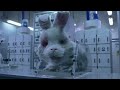 これは、コンドームの広告ではありません / Humane Society International「SAVE RALPH」 シーン 3