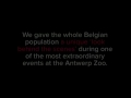 55万人が、同じ瞬間に息をのんだ / ZOO ANTWERP「BABY ELEPHANT」 シーン 2
