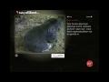 55万人が、同じ瞬間に息をのんだ / ZOO ANTWERP「BABY ELEPHANT」 シーン 4
