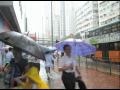 これは、傘袋です / THE LOTUS LIGHT CHARITY SOCIETY「UMBRELLA BAGS」 シーン 3