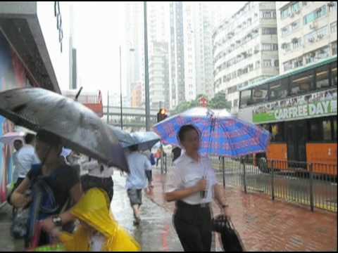 This Is an Umbrella Bag / THE LOTUS LIGHT CHARITY SOCIETY "UMBRELLA BAGS"