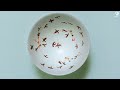 京都の陶芸工房が、ラグジュアリーの定義を塗り替えた / LOEWE「LOEWE x Suna Fujita」 シーン 2