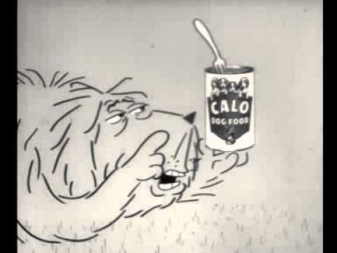 広告史上初めてTVスポットがグランプリを獲った瞬間 / Calo Pet Food「TIRED DOG」 メインシーン
