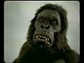 踏まれても、投げられても / FORD「KING KONG」 シーン 3