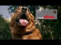 犬が地震を予測する / PetPace「ANIMAL ALERTS」 シーン 3