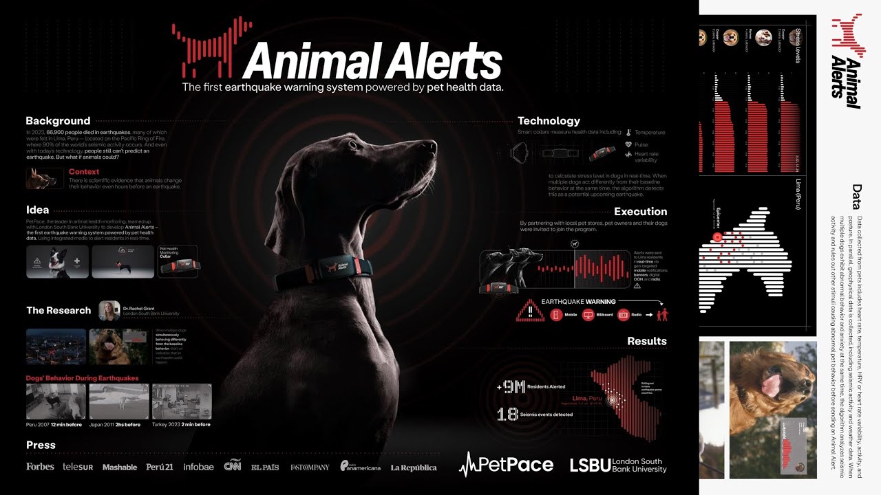 犬が地震を予測する / PetPace「ANIMAL ALERTS」 メインシーン