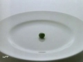 グリーンピース1粒に、詩を捧げる / BATCHELORS「ODE TO A PEA」 シーン 4