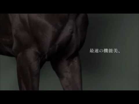 いま、振り返るたびに背筋が伸びる / JRA「20th Century Boy」CMシリーズ メインシーン