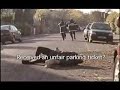 駐車監視員が、人を蹴る。 / APPEALNOW.COM「KICKING」 シーン 4