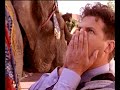 象は、忘れない。 / NESTLE「ELEPHANT」 シーン 4