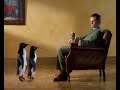 「ギミックはいらない」と、ペンギンが肩を落とす / John Smith's Bitter「Penguins」 シーン 2