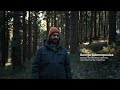 木が、取材する。それが最も信頼できる目撃者だから / HYUNDAI「TREE CORRESPONDENTS」 シーン 3