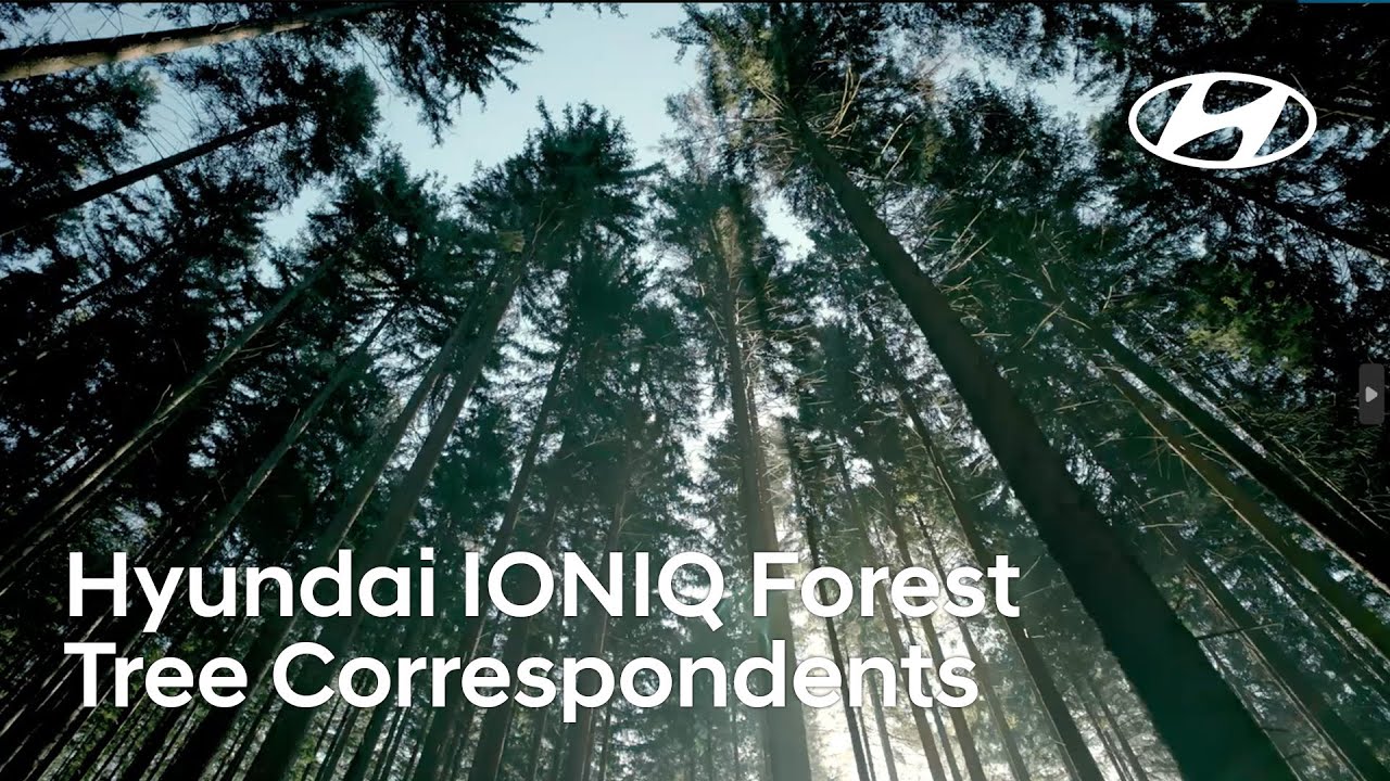 木が、取材する。それが最も信頼できる目撃者だから / HYUNDAI「TREE CORRESPONDENTS」 メインシーン