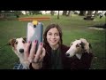 犬の顔を認識する世界初のアプリ / ペディグリー「SelfieSTIX」 シーン 2