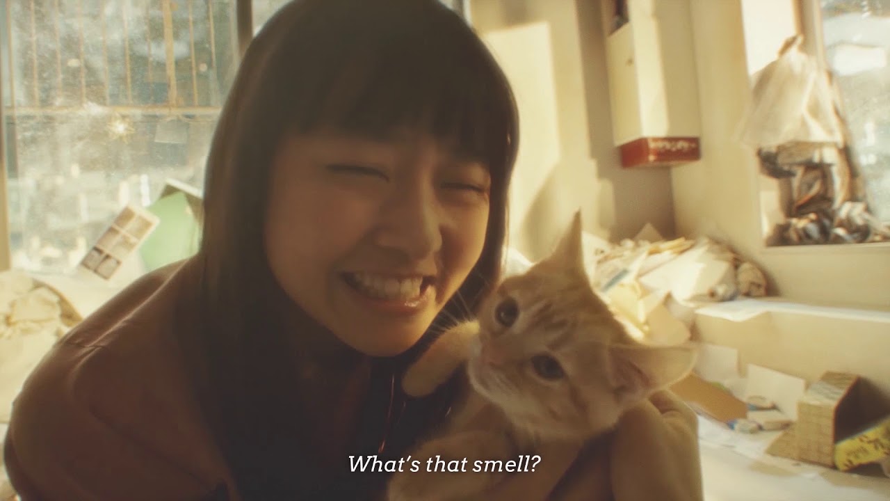 これ、どうやって撮ったの？ / Sony Interactive Entertainment「GRAVITY CAT」 メインシーン
