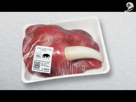 恐竜の肉、本日入荷 / BOSCH「Fresh Stone-Age Meat」 メインシーン