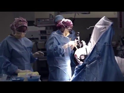 ひどいけど、それでもまだツイてる / Umphang Hospital Foundation「THE LUCKY ONES」 メインシーン