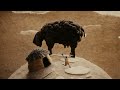 羊毛が、語りはじめた / Centre for Pastoralism「Desi Oon」 シーン 2