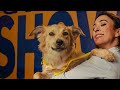 雑種犬に「血統」を与えた広告 / PEDIGREE「CARAMELO」 シーン 3