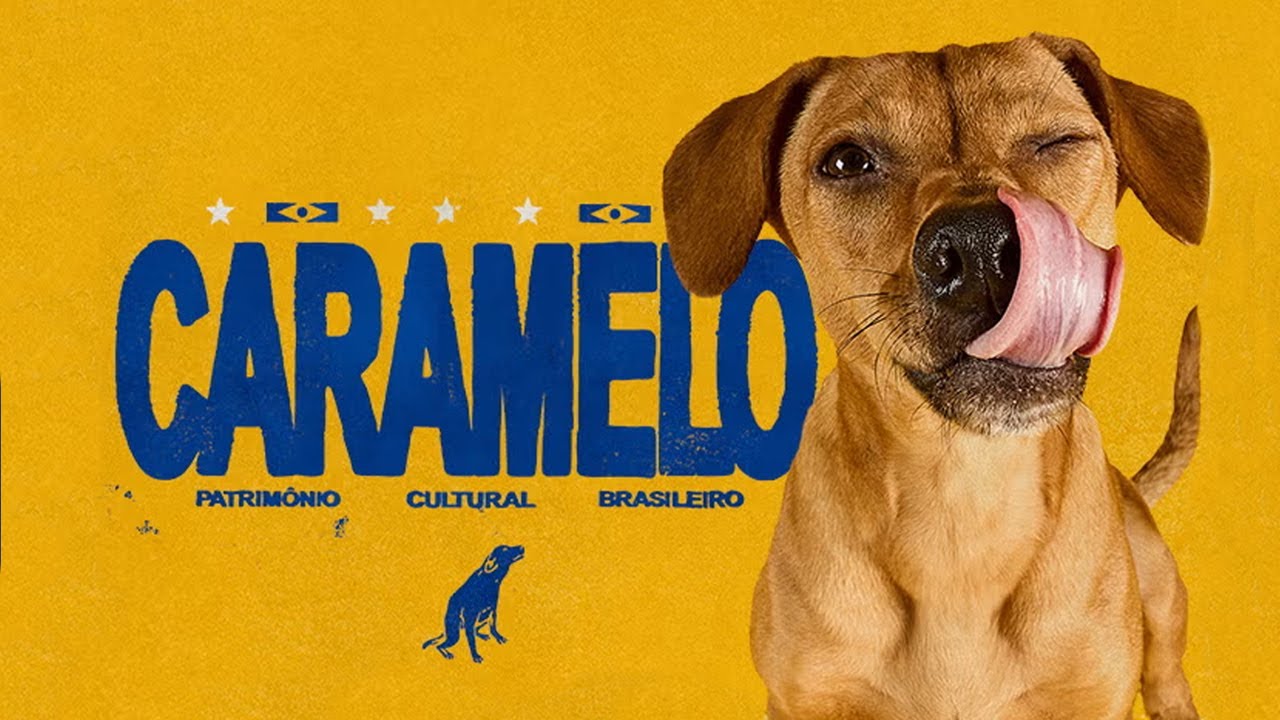 雑種犬に「血統」を与えた広告 / PEDIGREE「CARAMELO」 メインシーン
