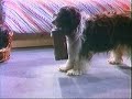 テレビ局が、テレビを見るなと言った / TVE「SUITCASE」 シーン 4