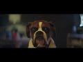 トランポリンをめぐる、静かな欲望の夜 / John Lewis「Buster The Boxer」 シーン 3