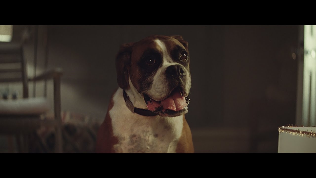 トランポリンをめぐる、静かな欲望の夜 / John Lewis「Buster The Boxer」 メインシーン
