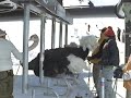 ダチョウ！ / JR東日本「JR SKISKI」Triple Jump 篇 シーン 2
